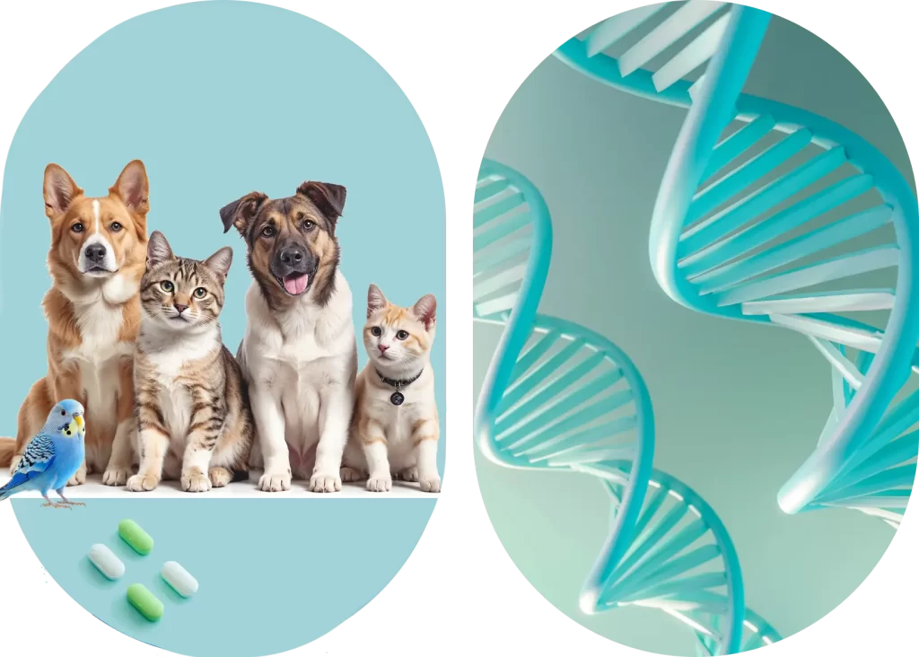 Naujosios Vilnios Veterinarijos klinika